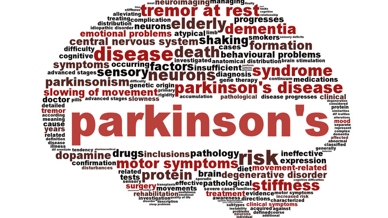 Parkinson Italia meeting sul ruolo dellinformazione come cura