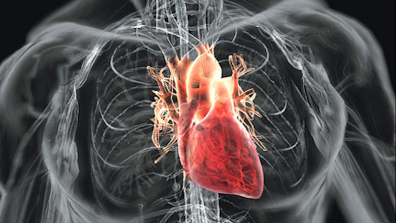 cardiologia 2015 02 23