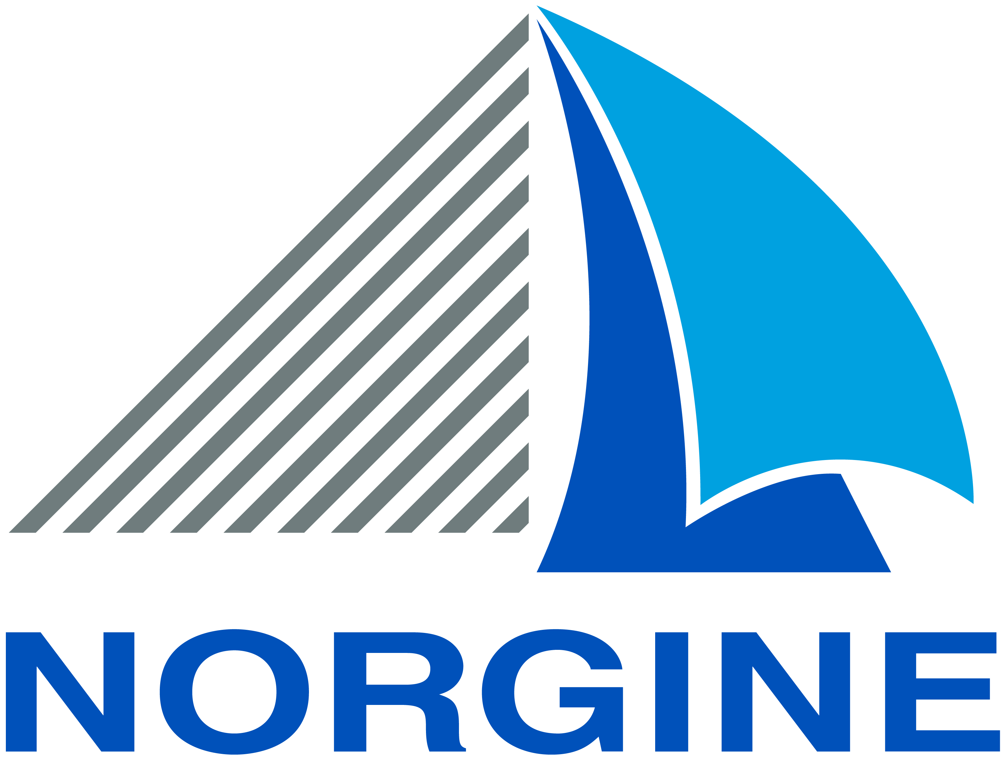 Norgine logo res 1000 1000
