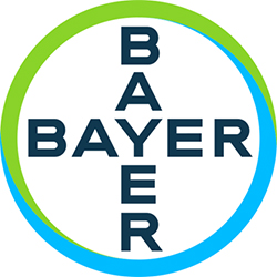 bayer 2020