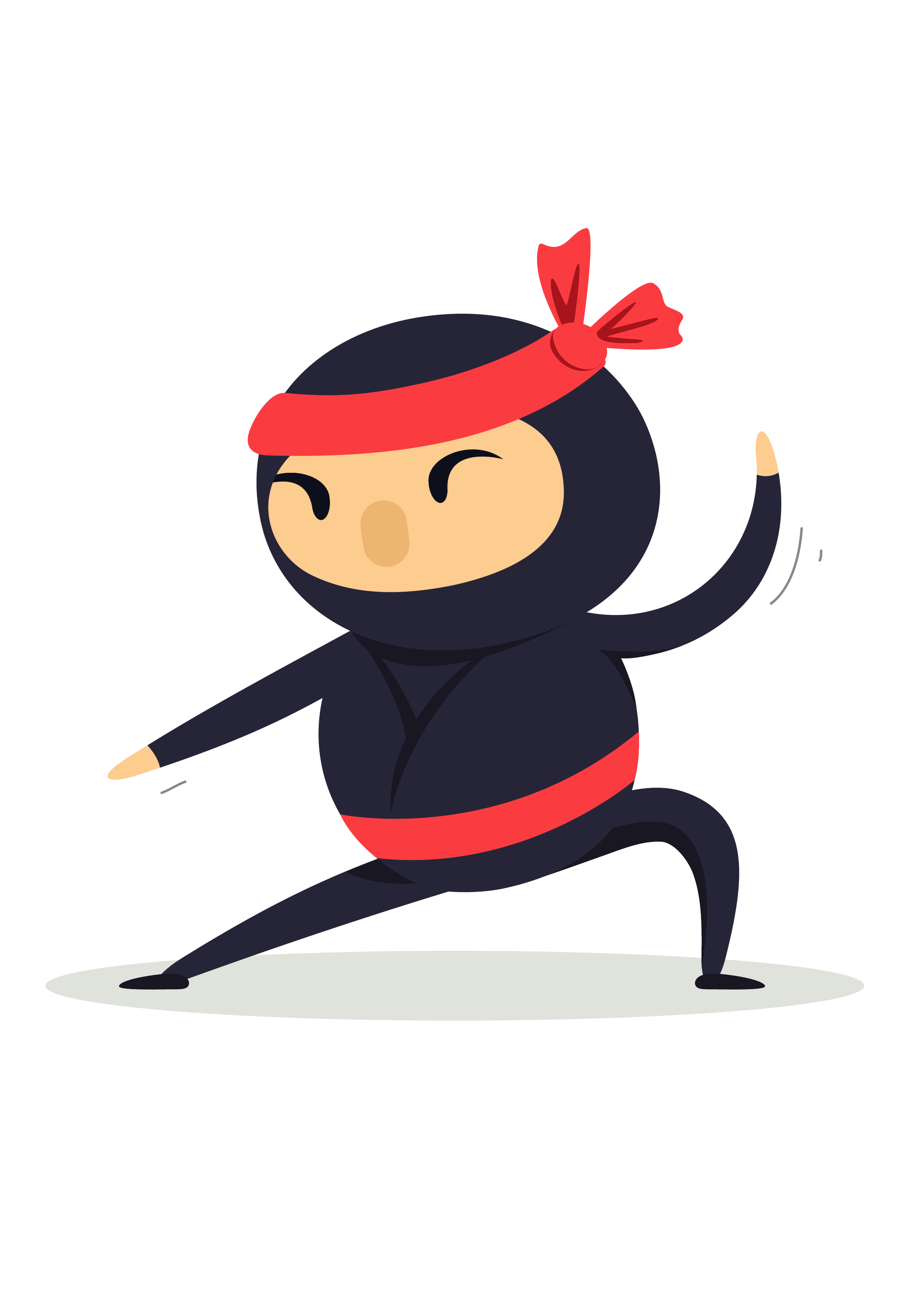 ninja 05